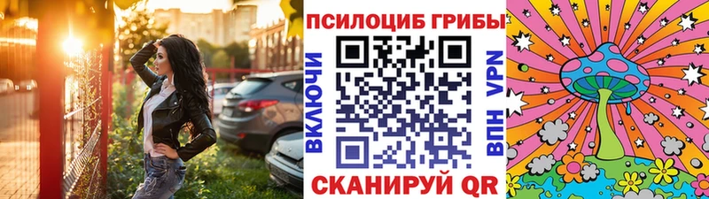 Псилоцибиновые грибы Magic Shrooms  Шенкурск 